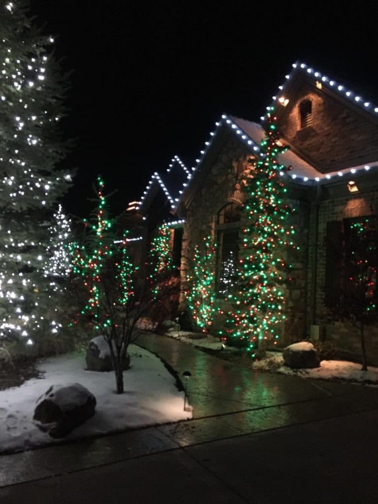 A winter wonderland of Christmas Lights.