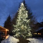 A huge tree custom lighting job in Park City