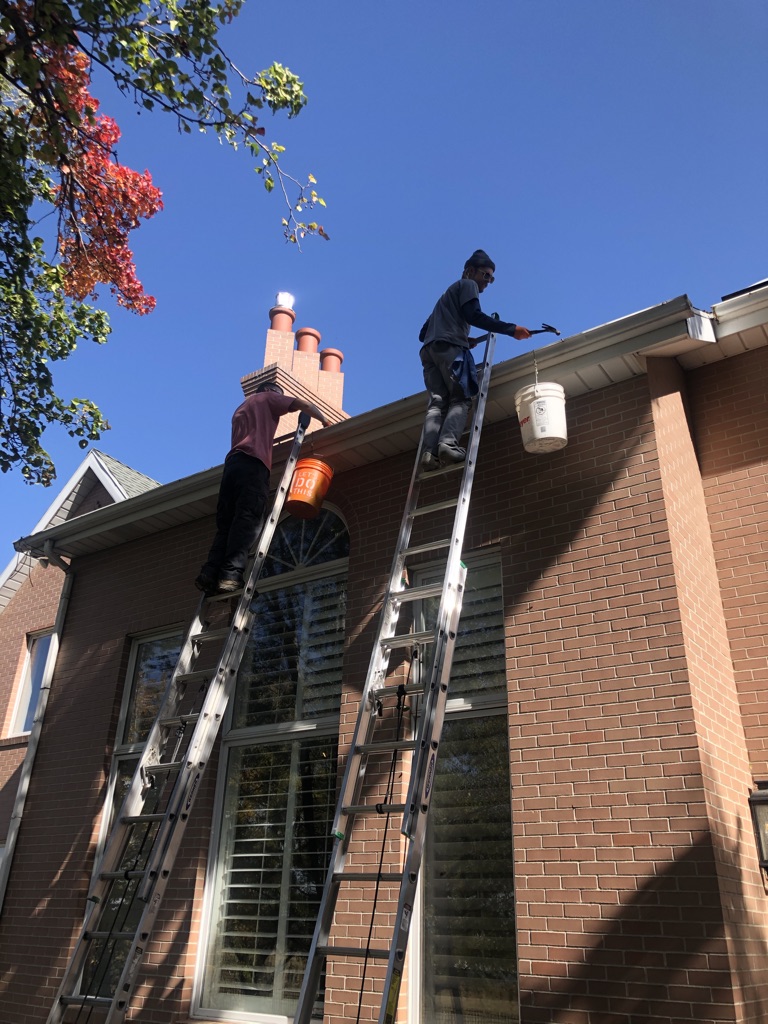 lakeview gutter cleaning